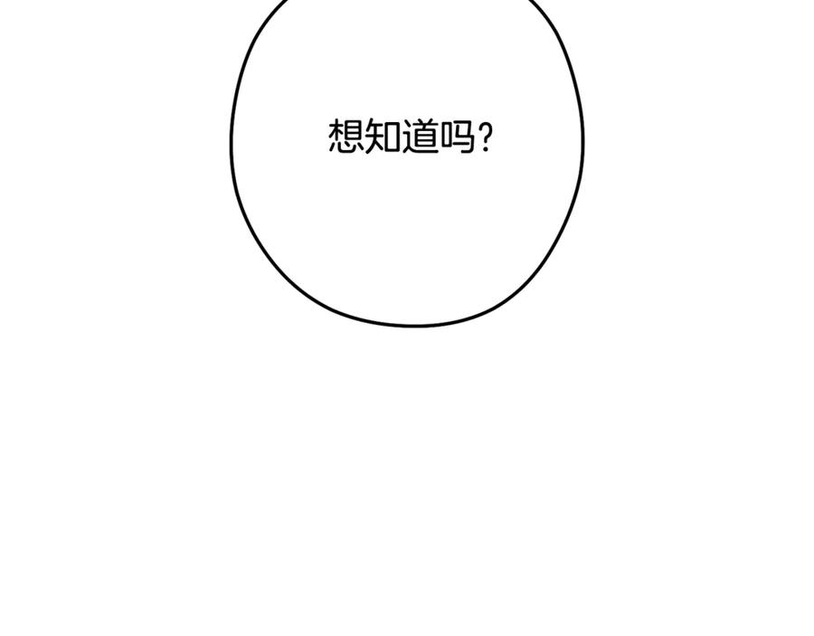 第239页