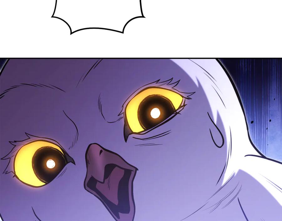 第238页