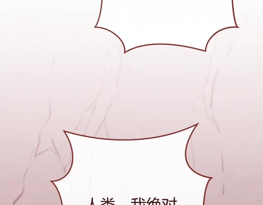 第242页