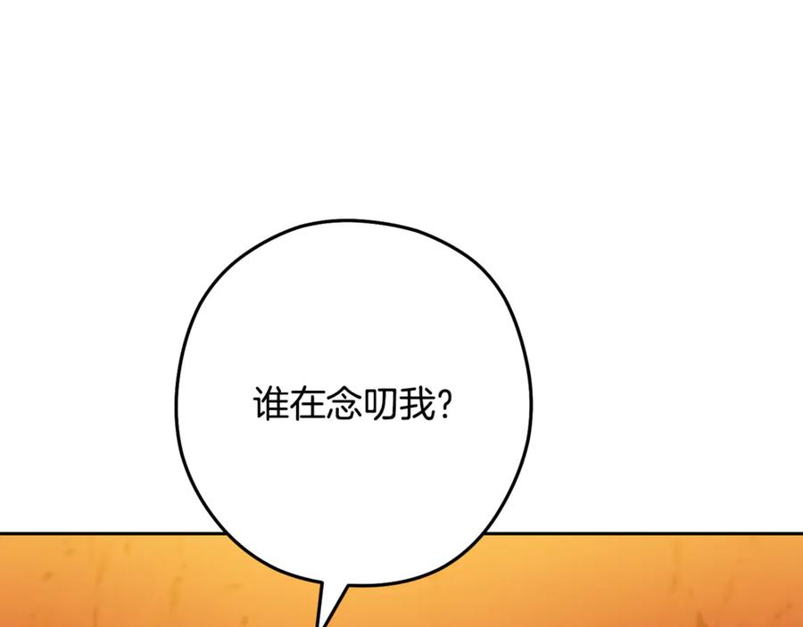 第247页