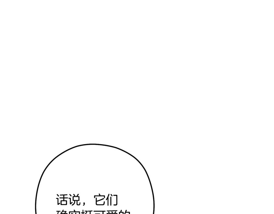 第258页
