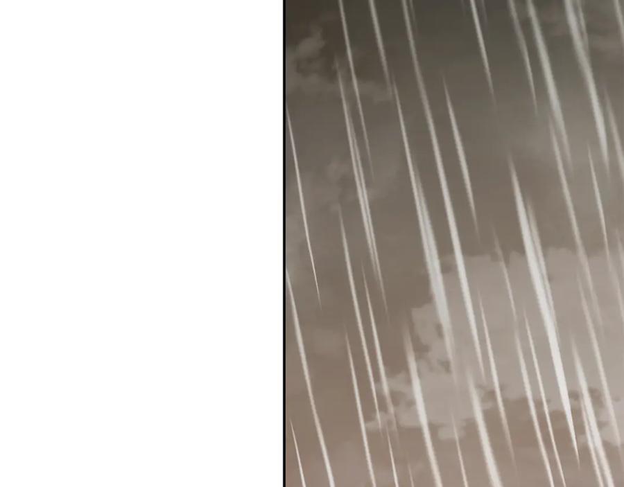 第235页