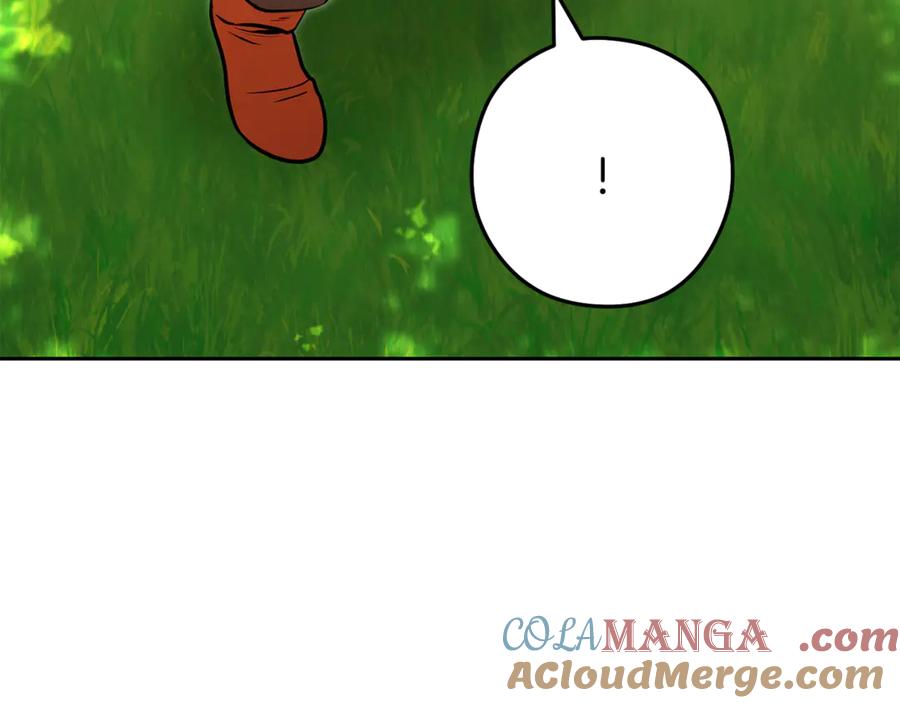 第217页