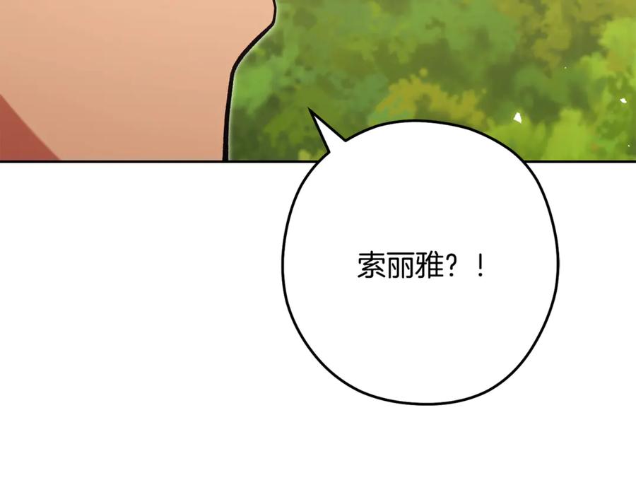 第224页