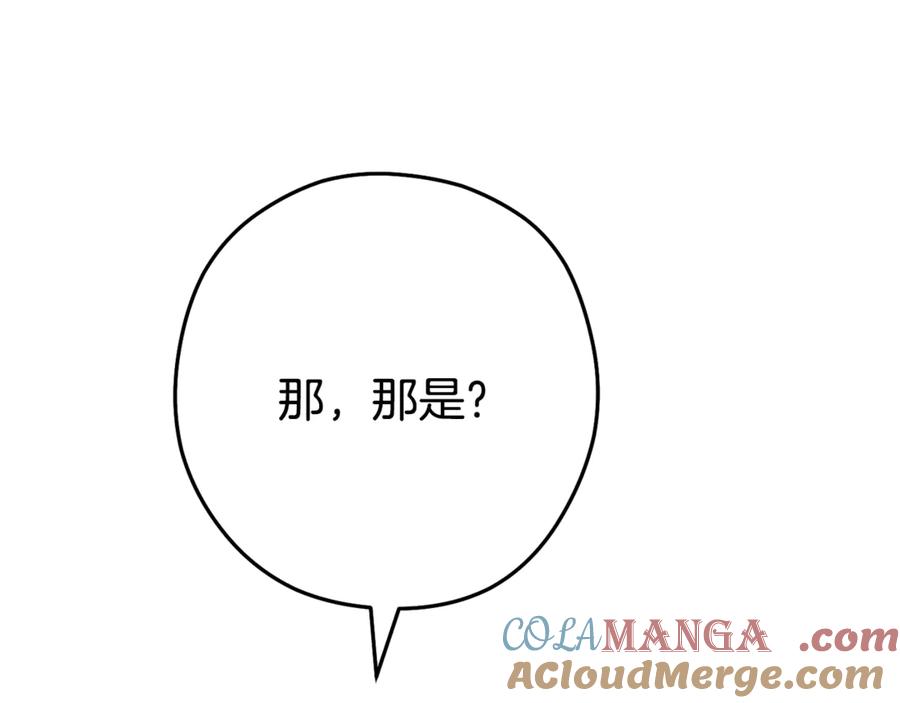 第233页