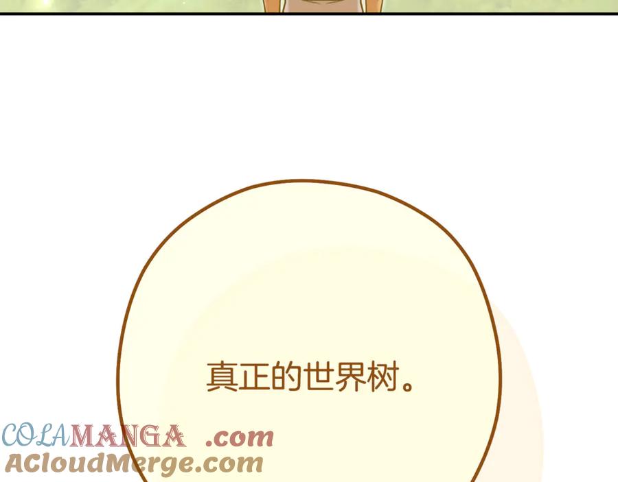 第241页