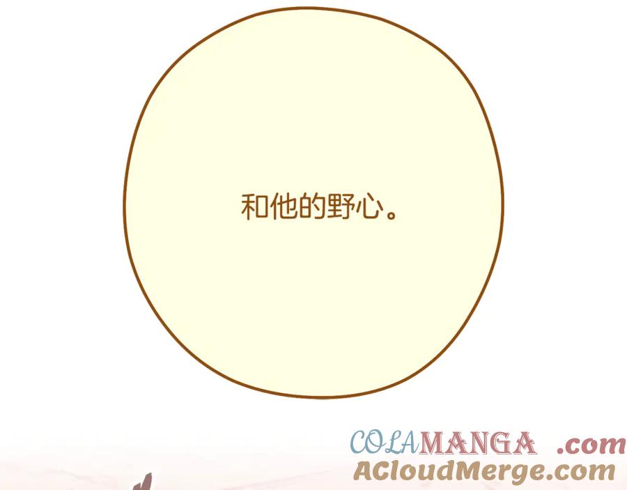 第213页