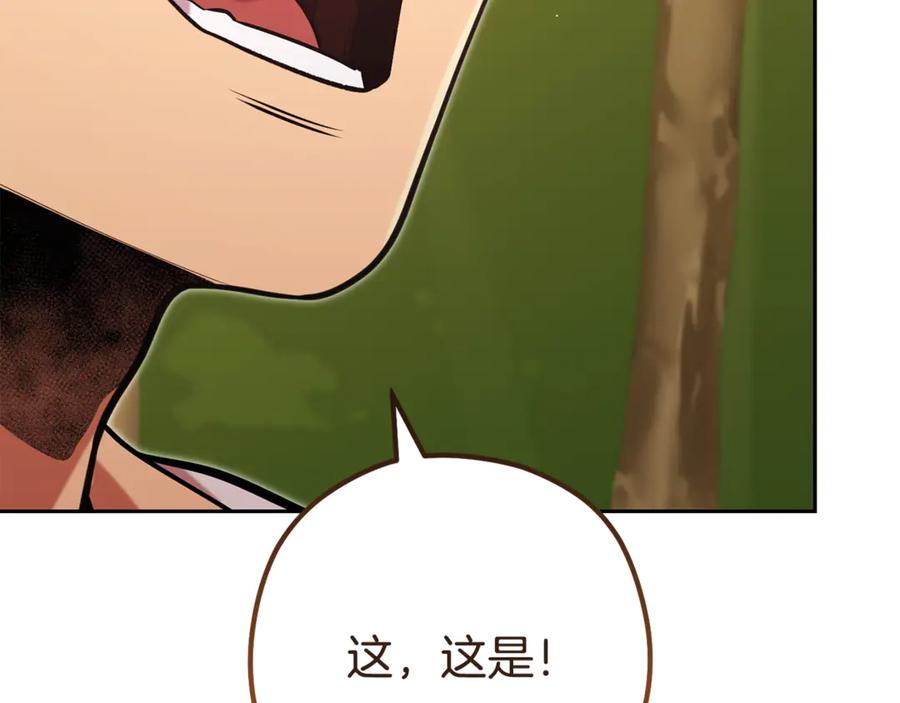 第236页