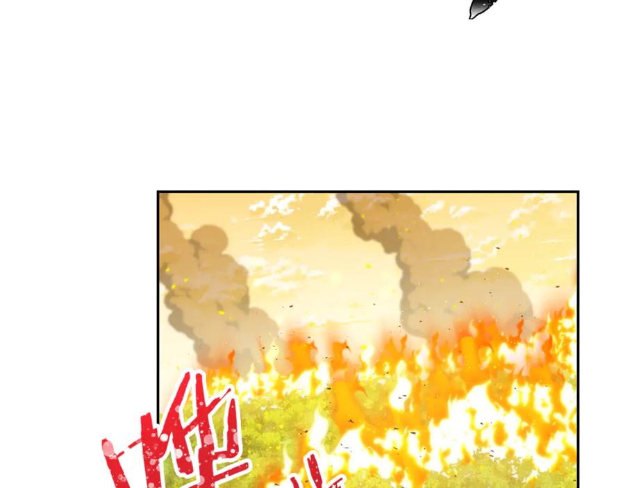 第234页