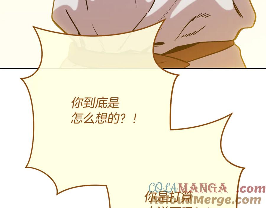 第241页