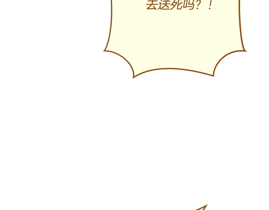 第242页