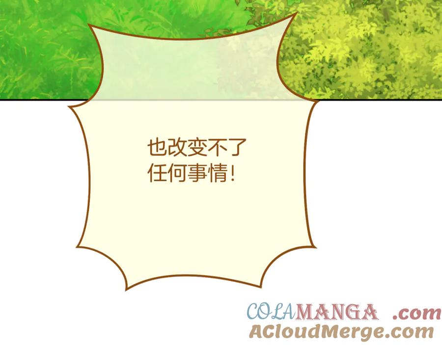 第249页