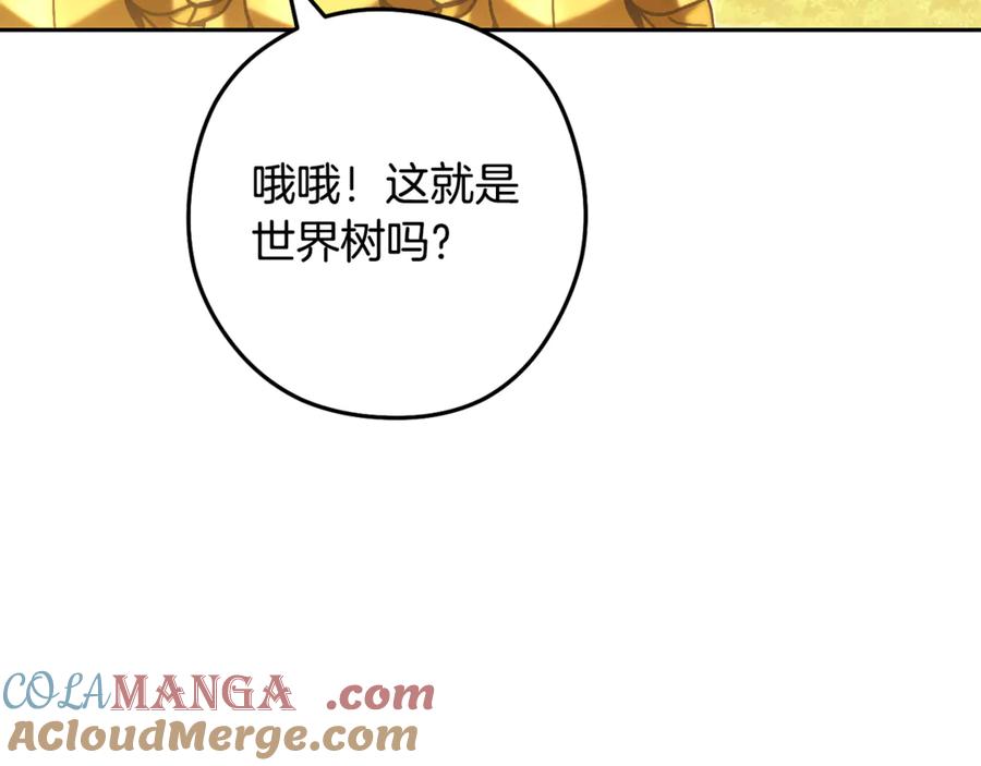 第221页