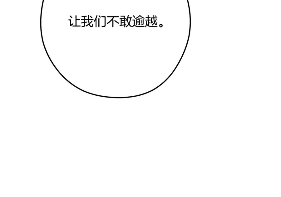 第242页