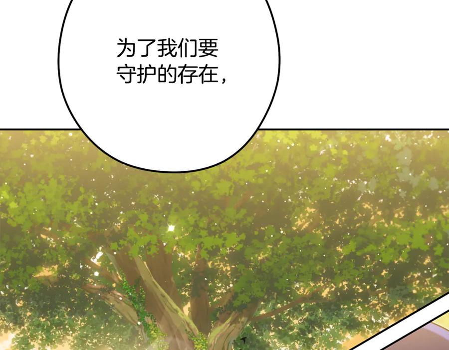 第246页