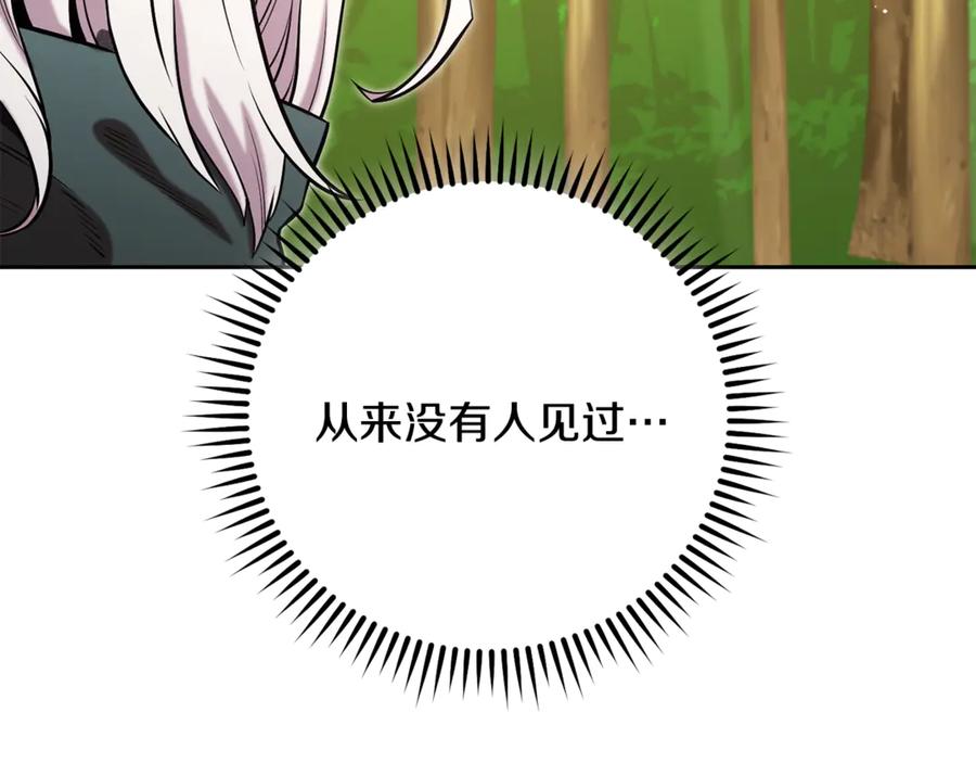 第255页