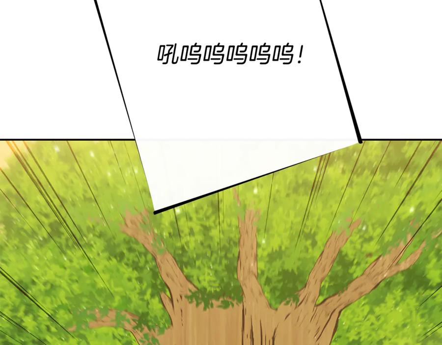 第272页