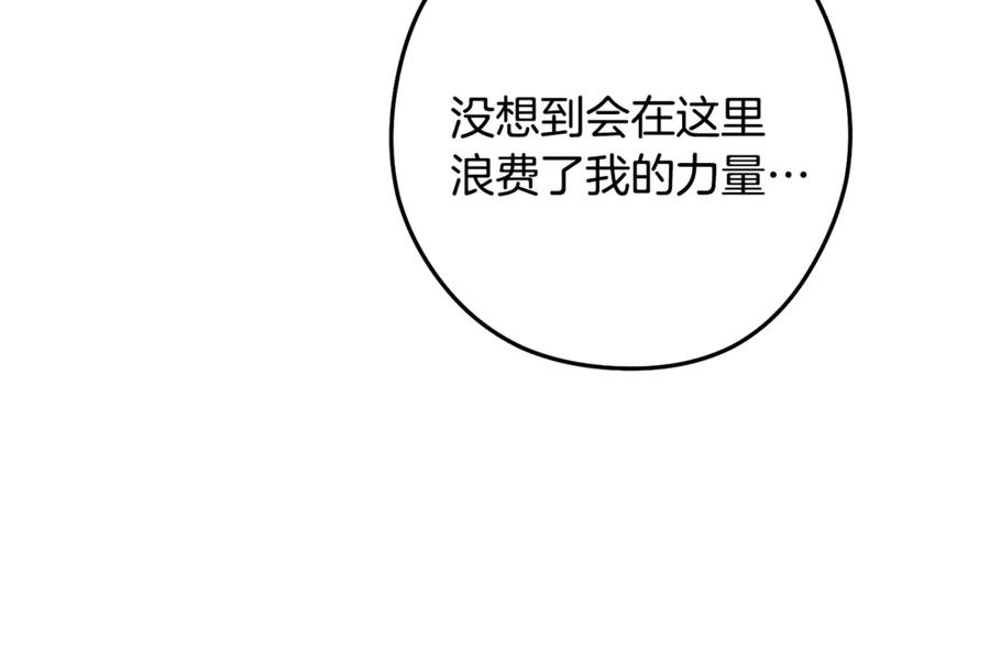 第223页