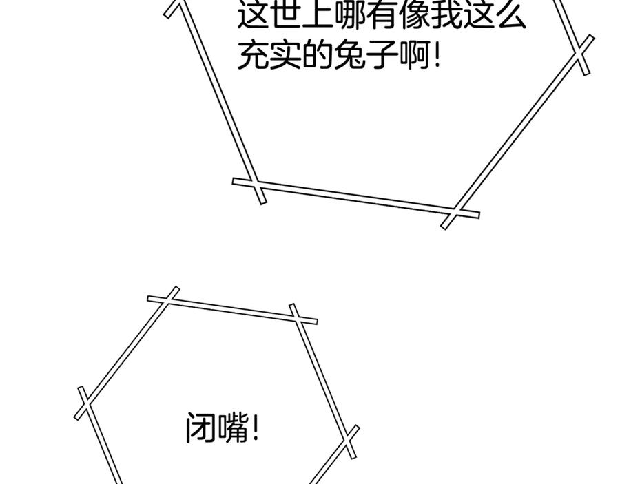 第251页