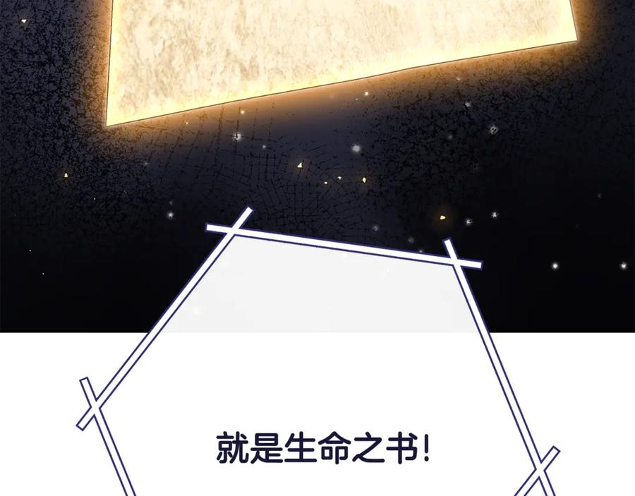 第260页
