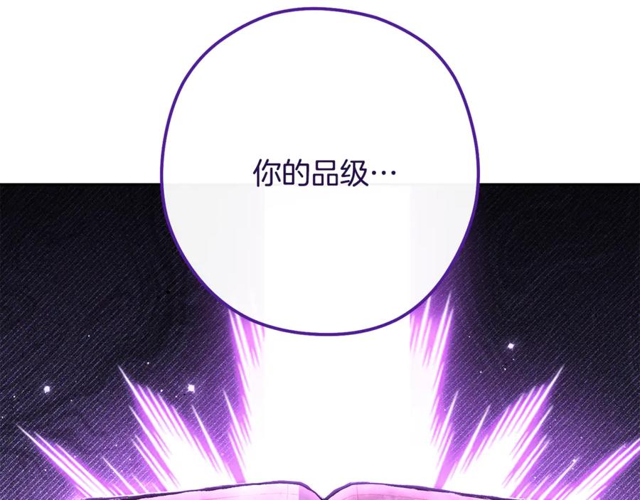 第223页