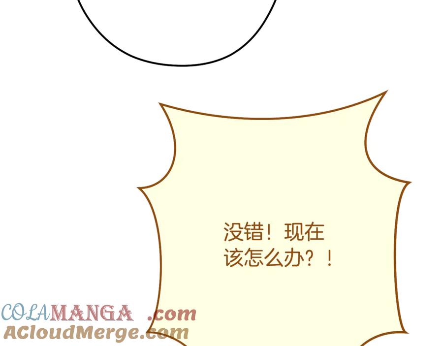 第241页