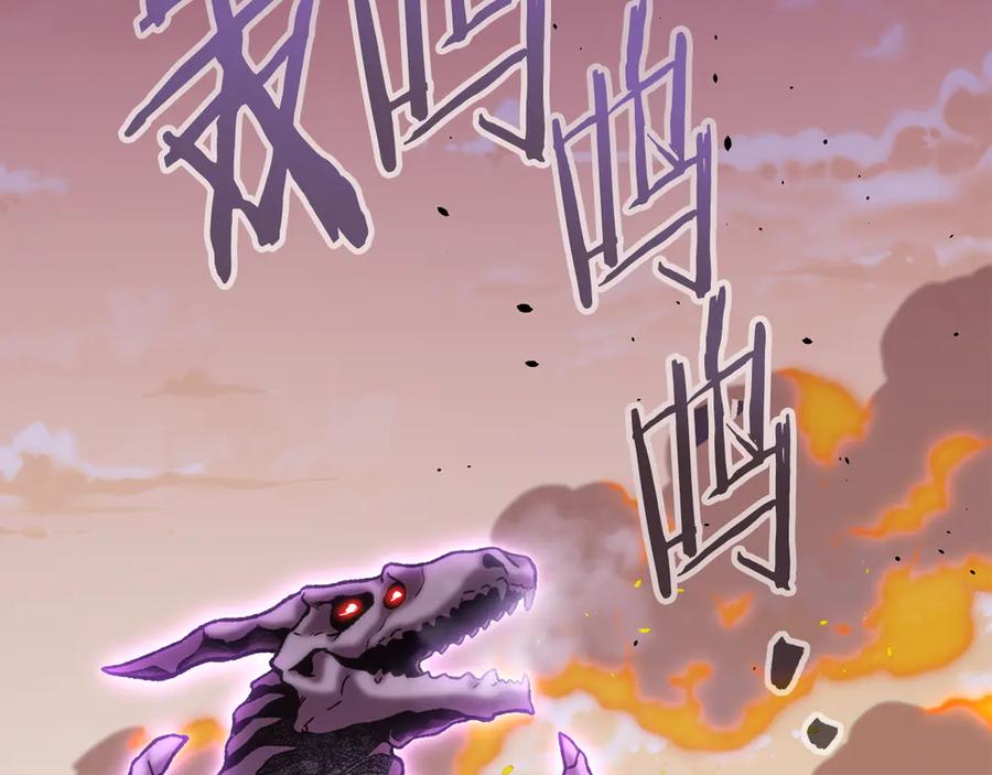 第244页