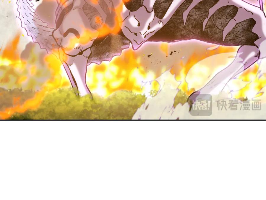 第246页