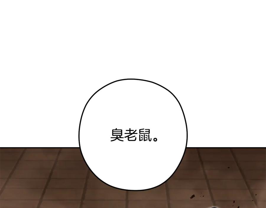 第228页