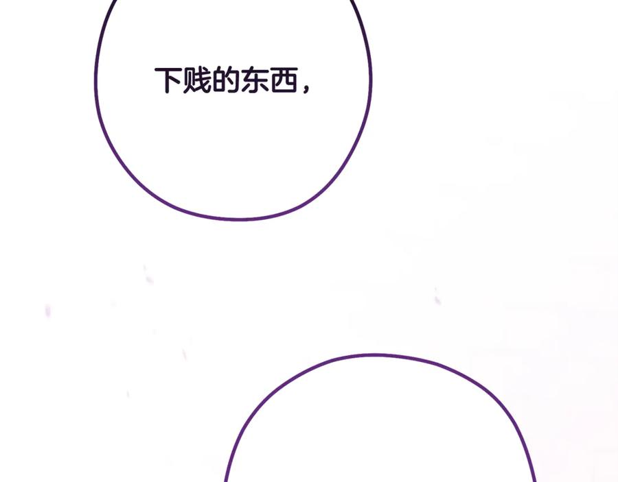 第242页