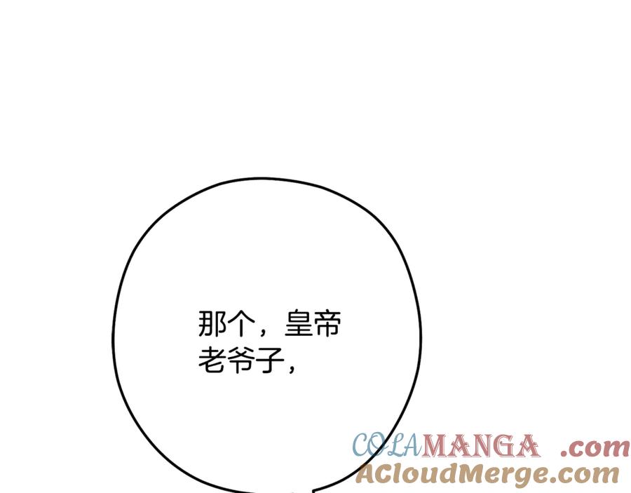 第213页