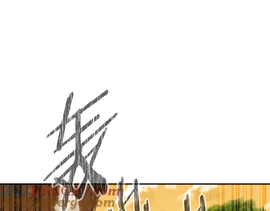 第209页
