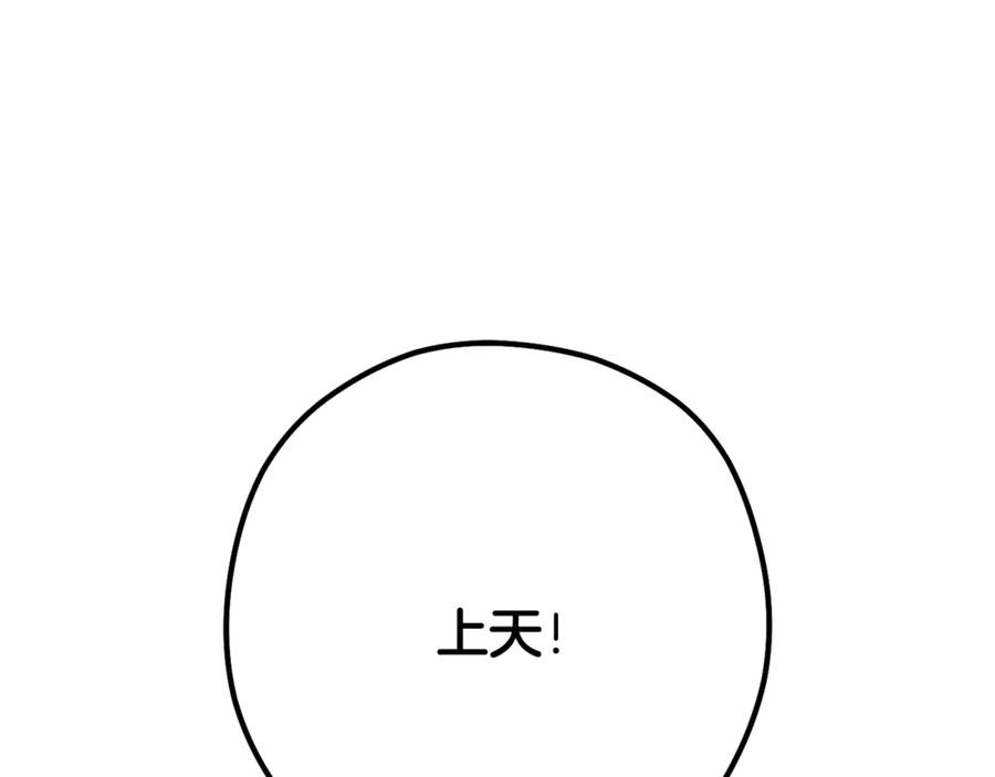 第223页