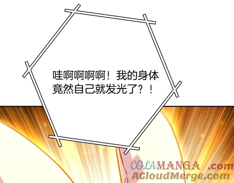 第217页