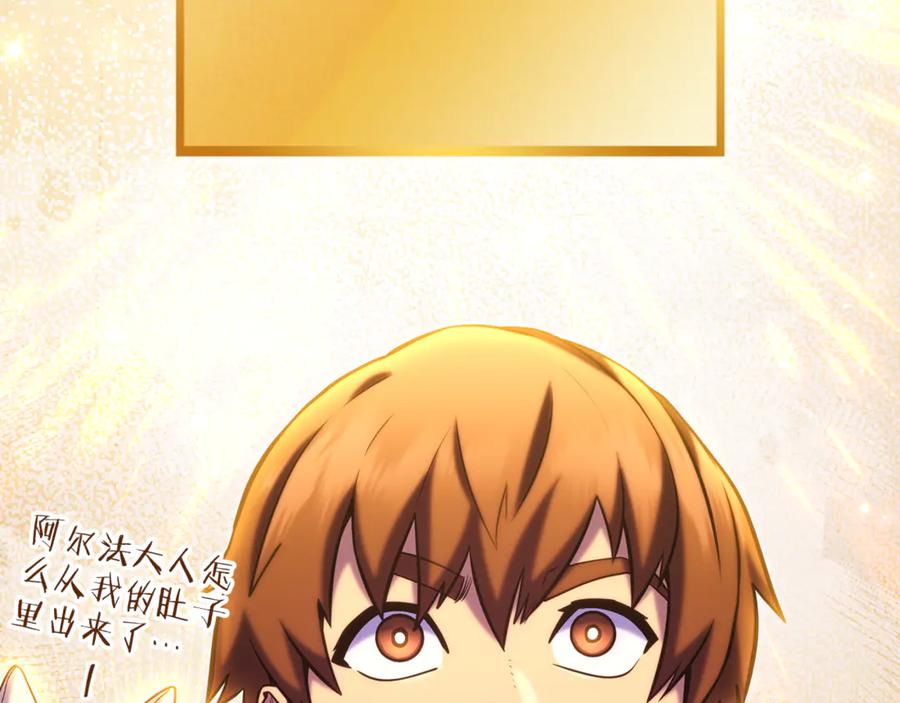 第242页