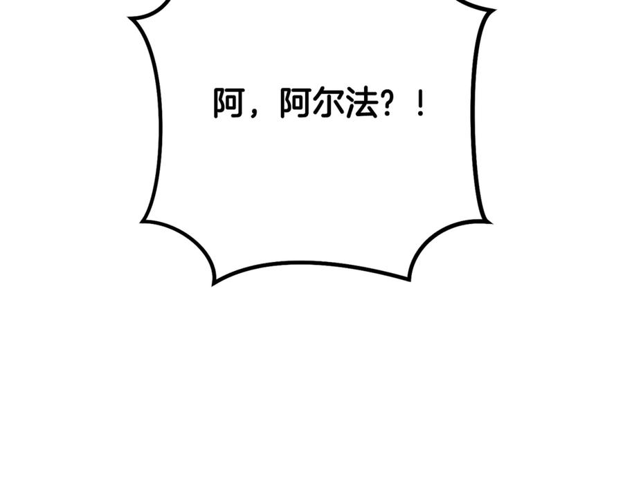 第244页