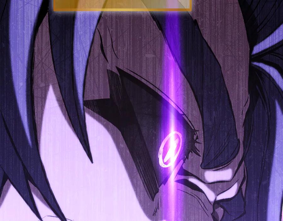 第224页