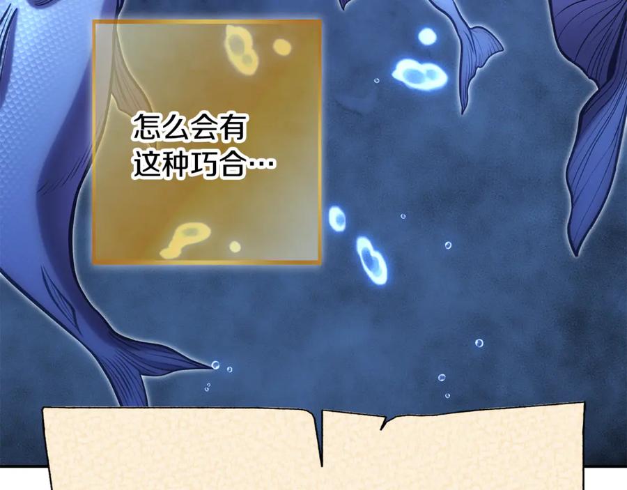 第240页