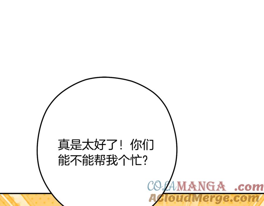 第205页