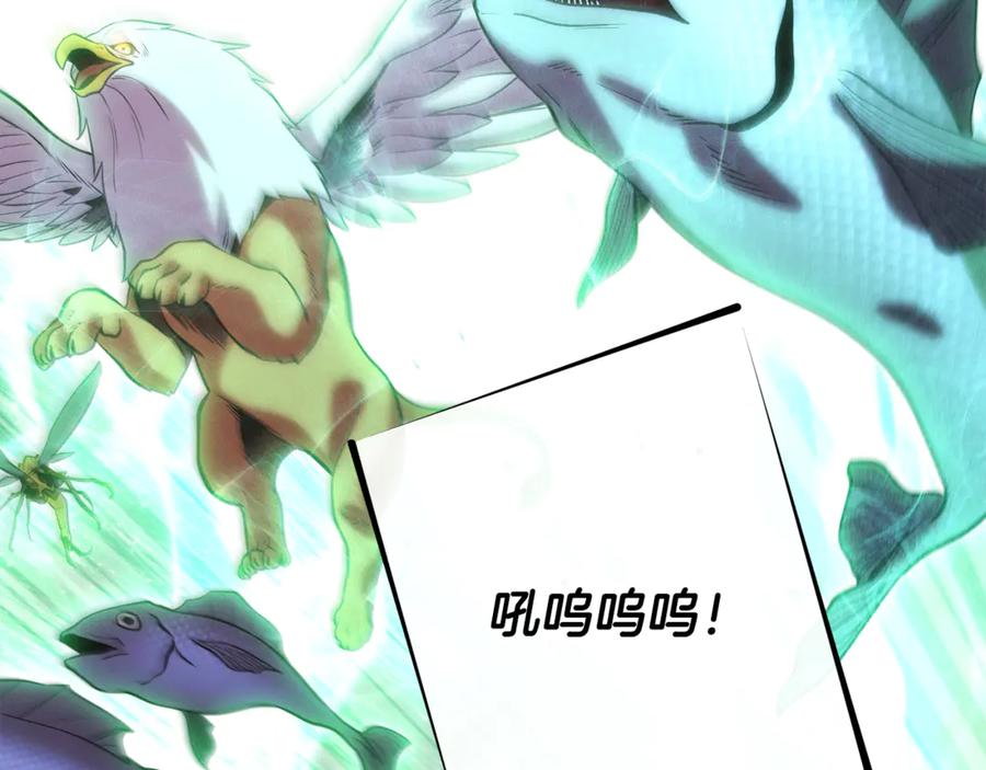 第214页