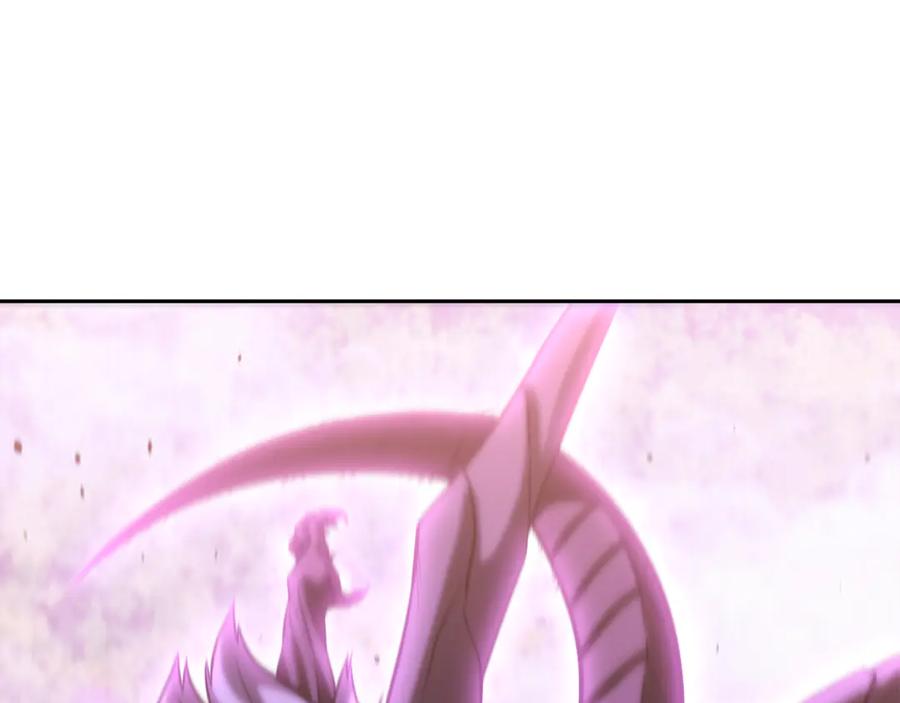 第231页