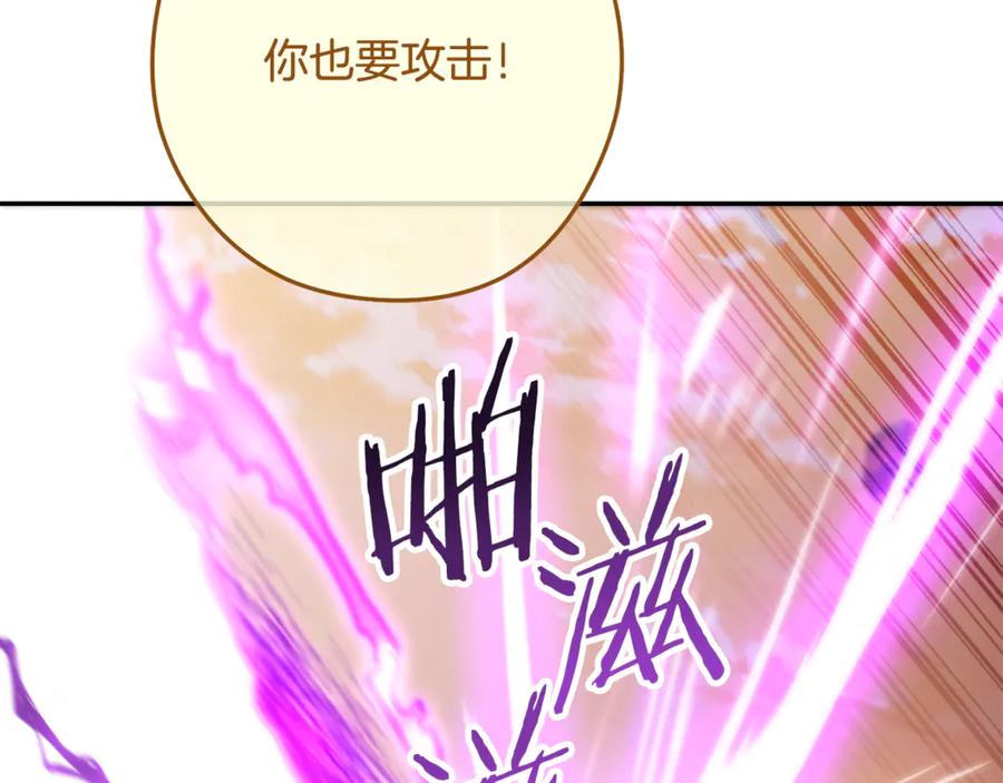 第244页