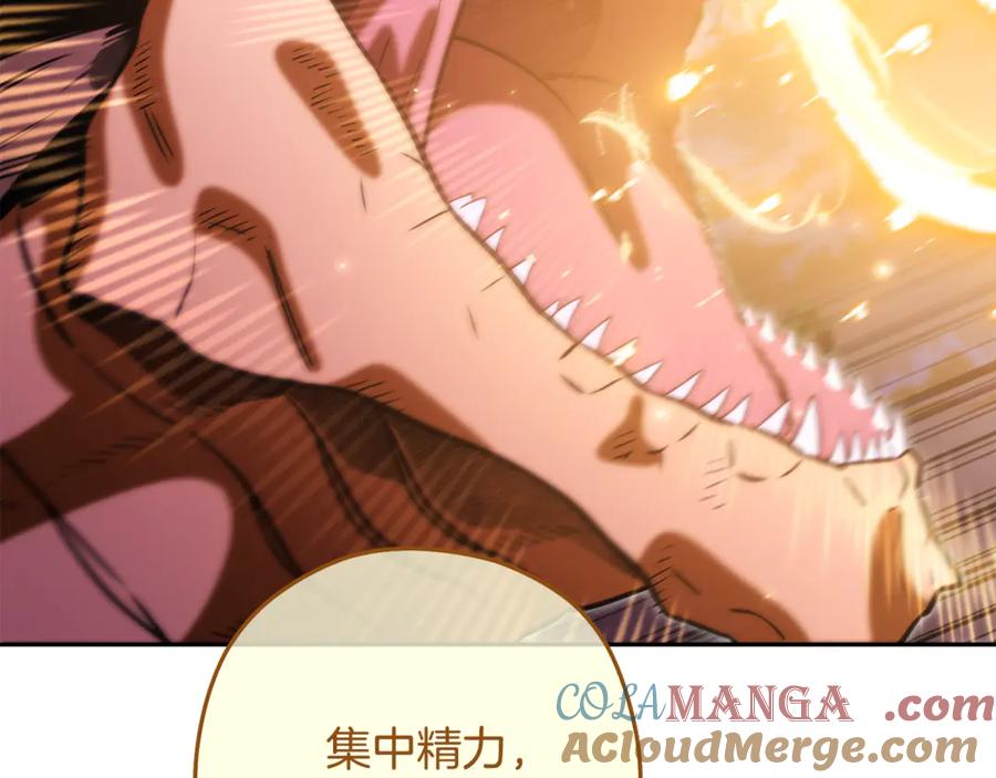 第261页
