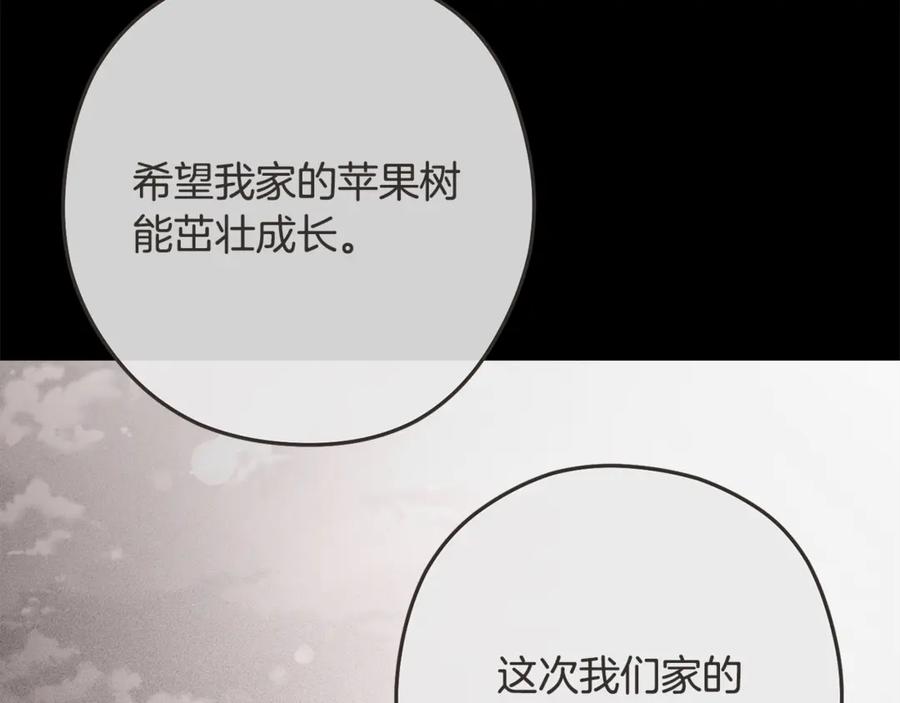第278页