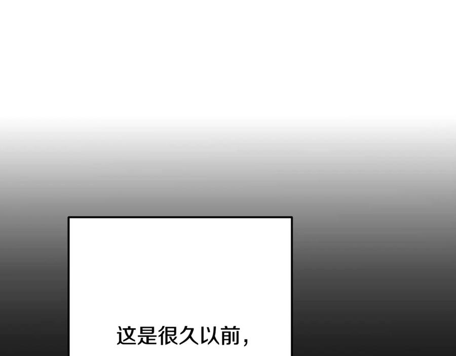 第244页
