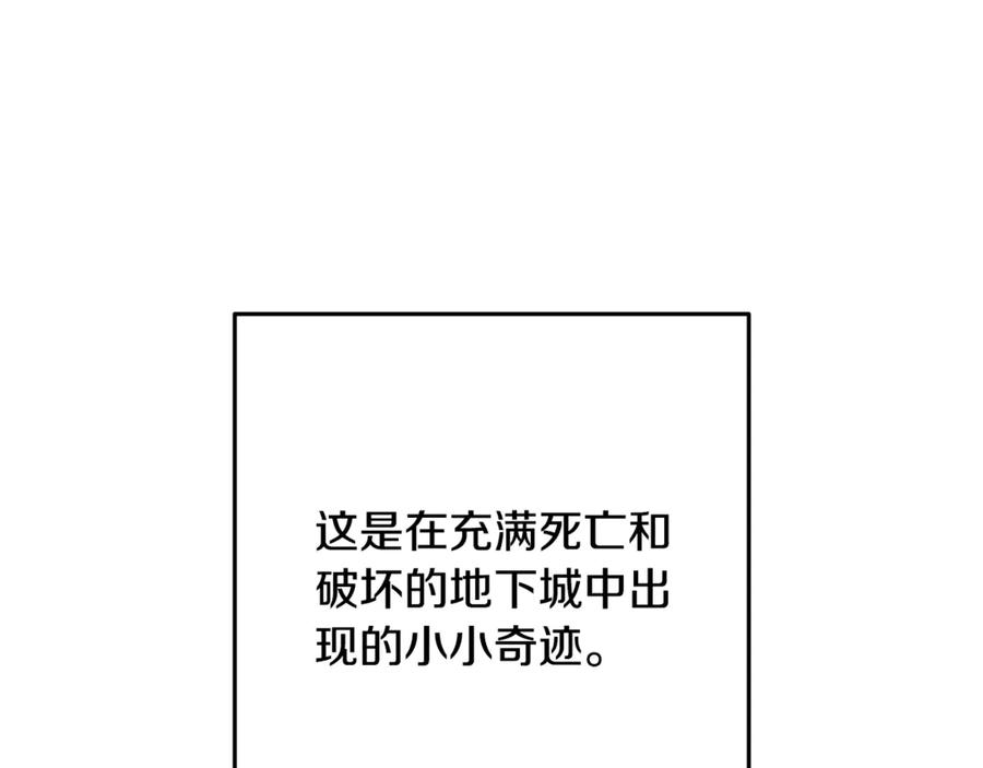 第251页