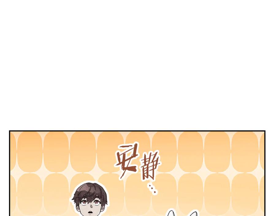 第260页