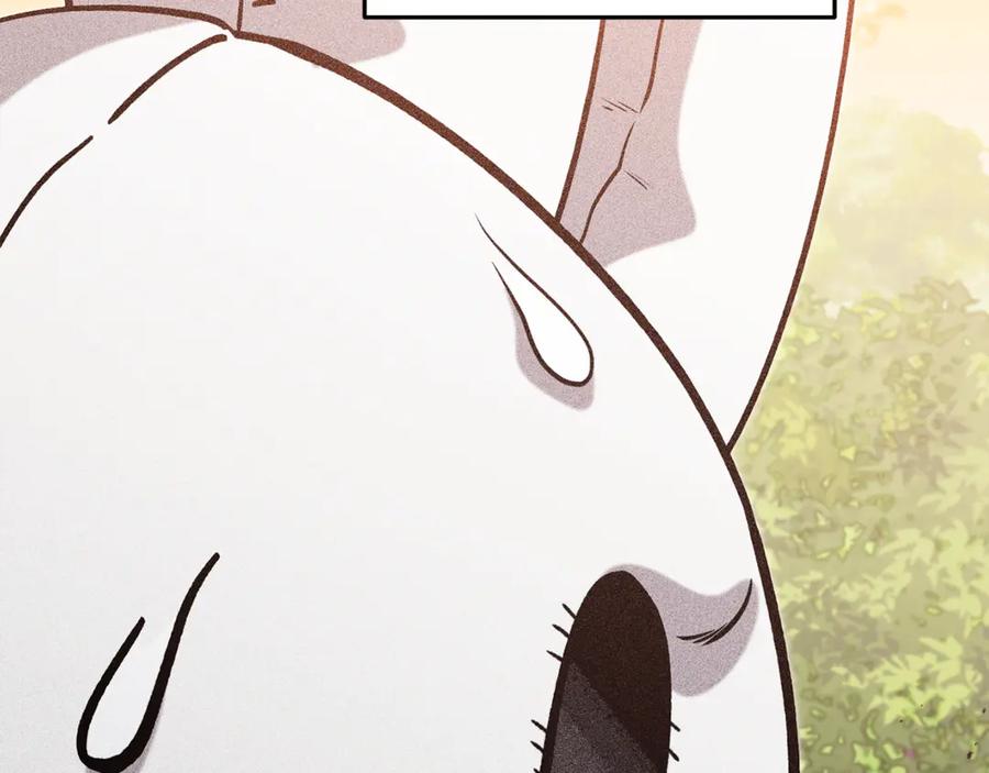 第272页