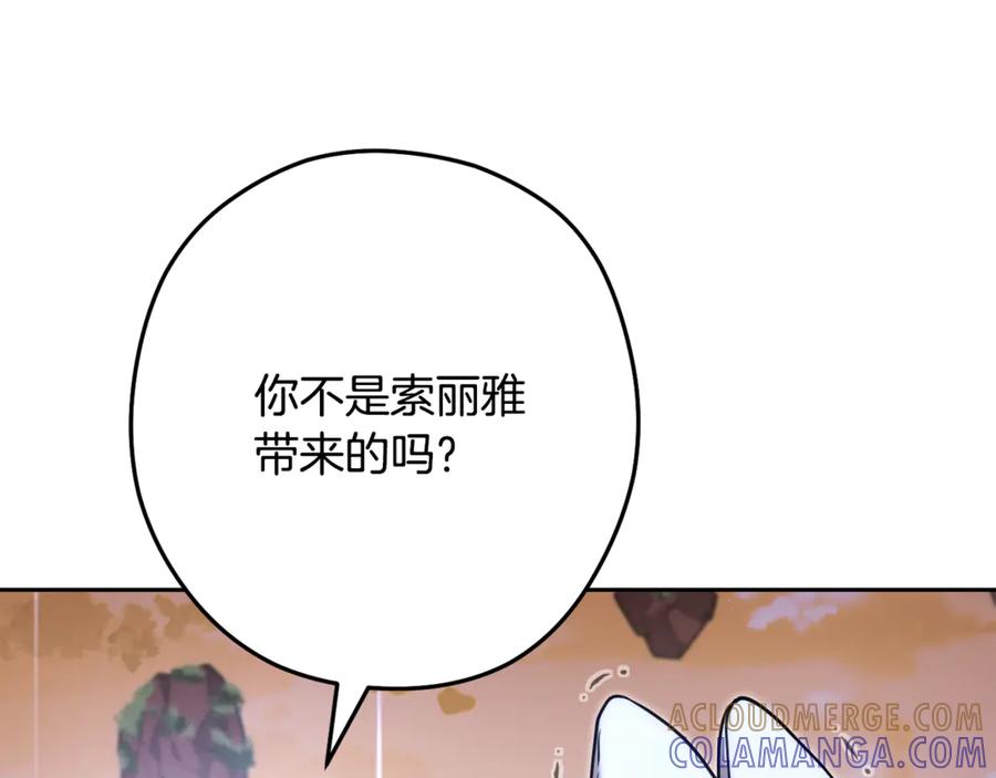 第221页