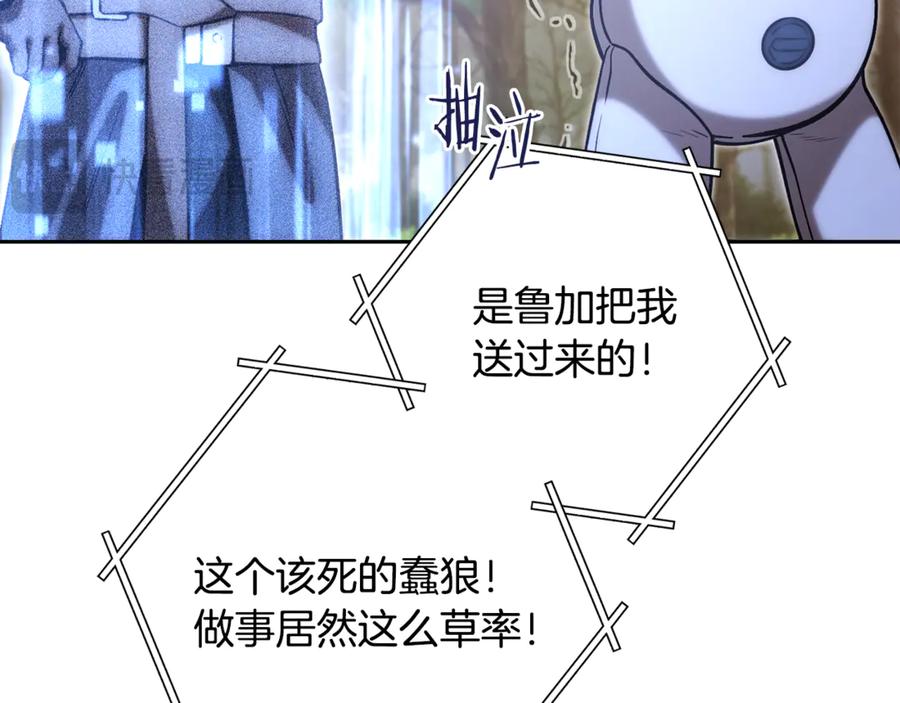 第223页
